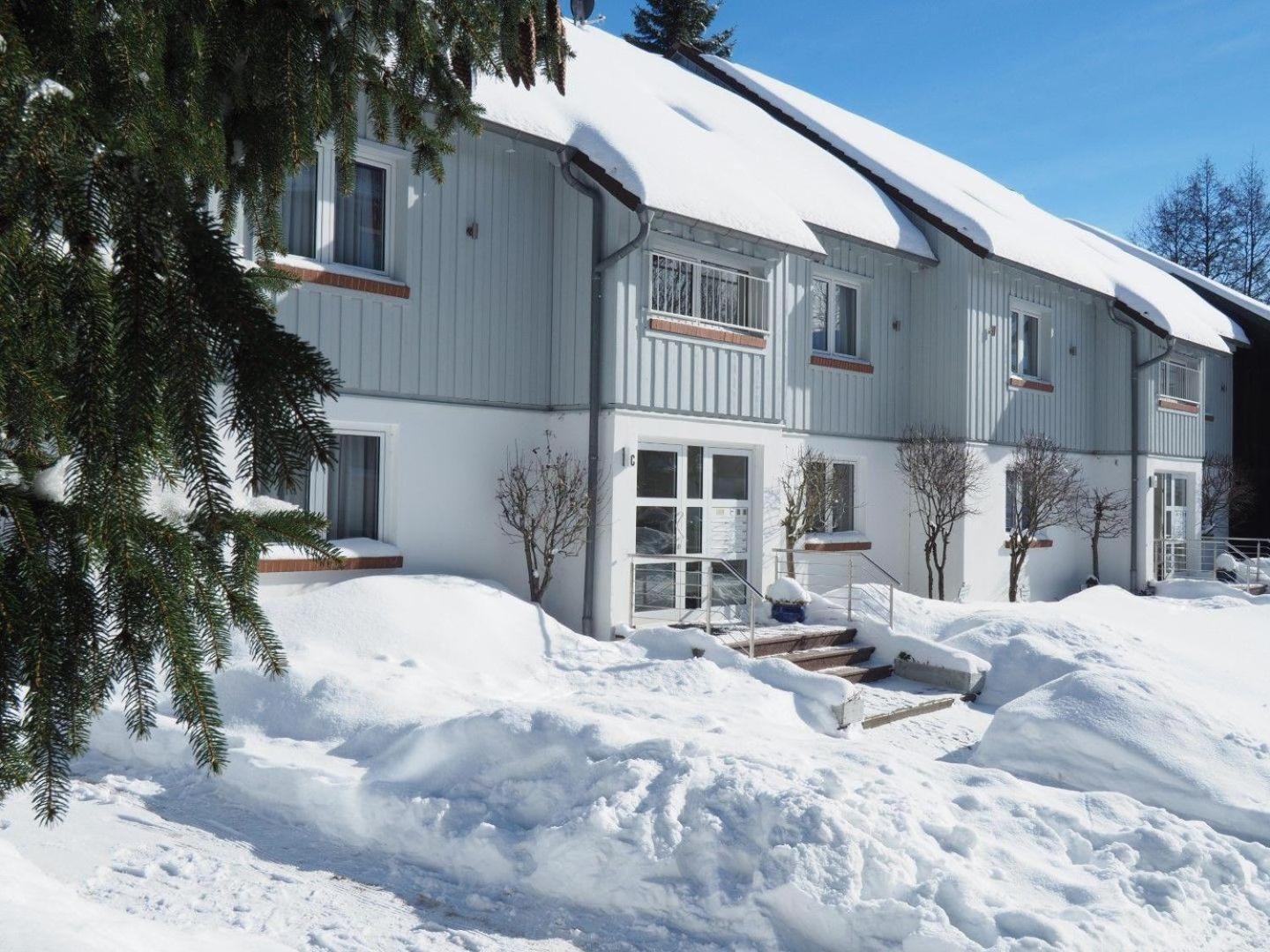 Ferienresidenz An Der Bode, Wohnung 1 Braunlage Exteriör bild