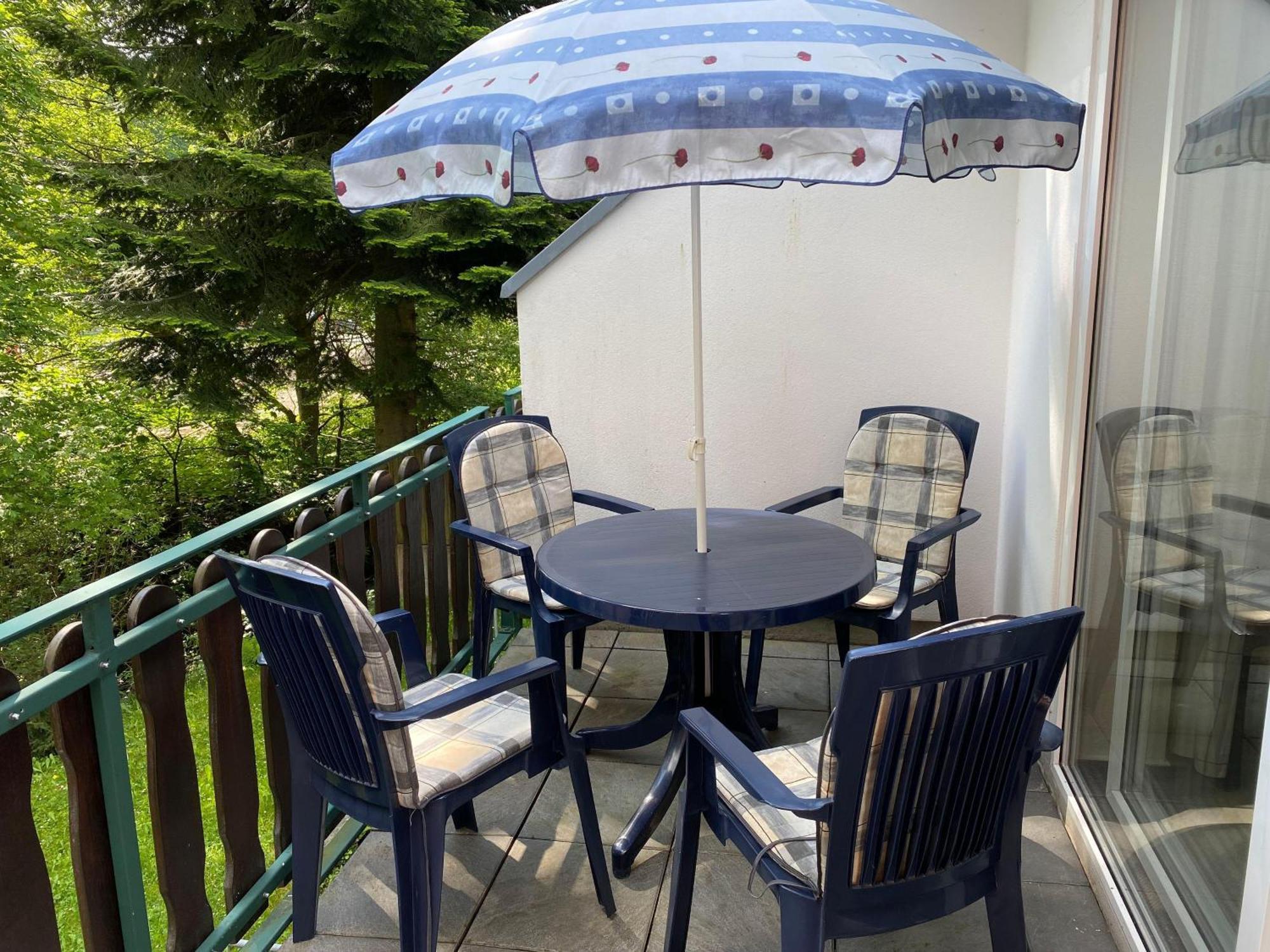 Ferienresidenz An Der Bode, Wohnung 1 Braunlage Exteriör bild
